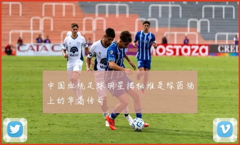 中国血统足球明星揭秘谁是绿茵场上的华裔传奇