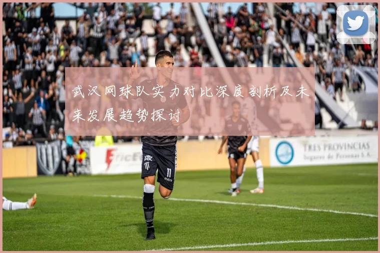 武汉网球队实力对比深度剖析及未来发展趋势探讨