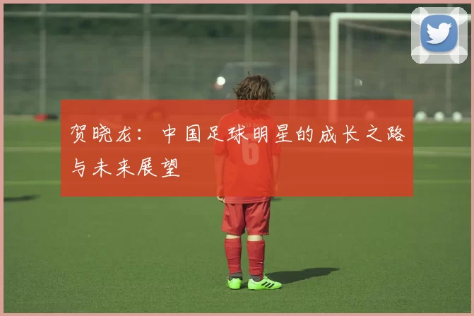 贺晓龙：中国足球明星的成长之路与未来展望