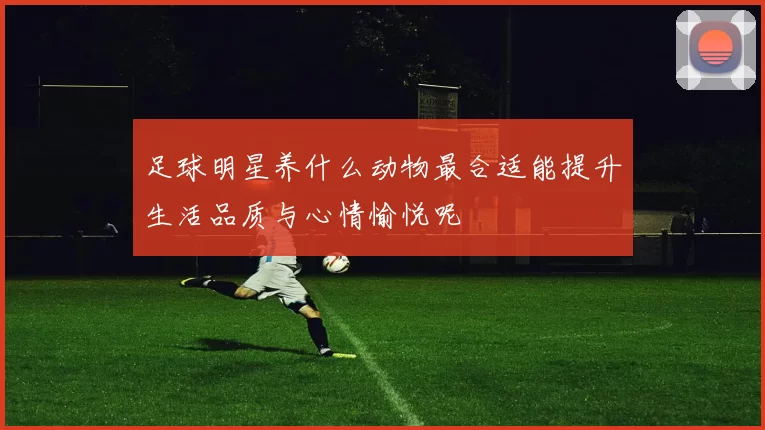 足球明星养什么动物最合适能提升生活品质与心情愉悦呢