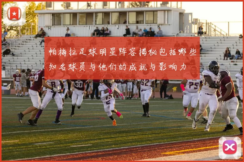 帕梅拉足球明星阵容揭秘包括哪些知名球员与他们的成就与影响力