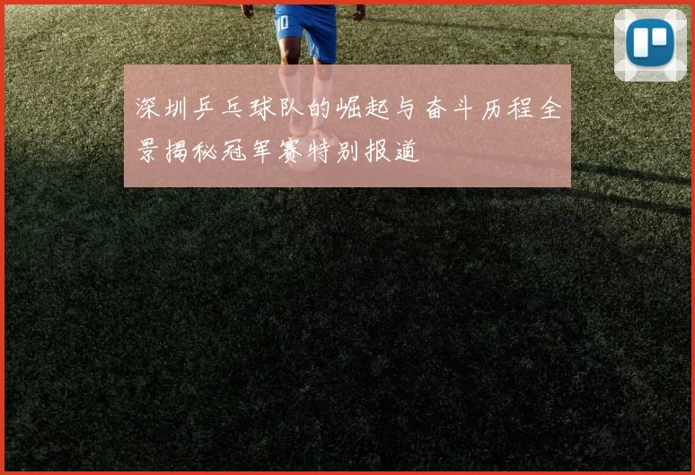 深圳乒乓球队的崛起与奋斗历程全景揭秘冠军赛特别报道