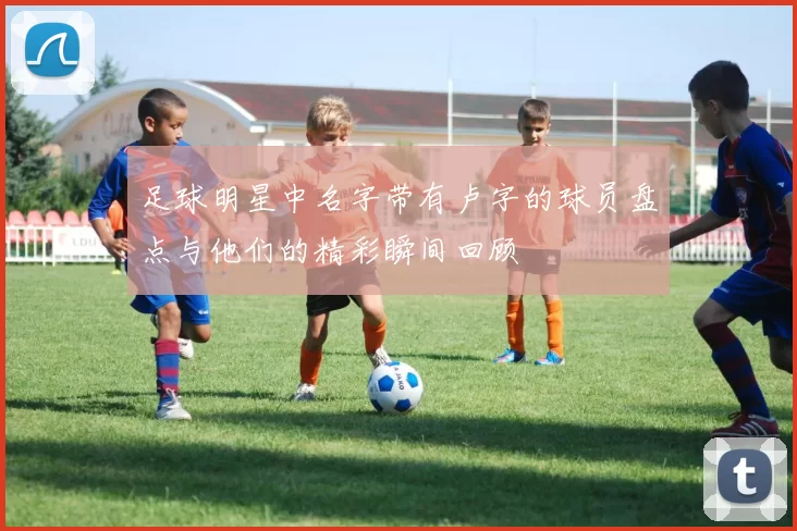 足球明星中名字带有卢字的球员盘点与他们的精彩瞬间回顾